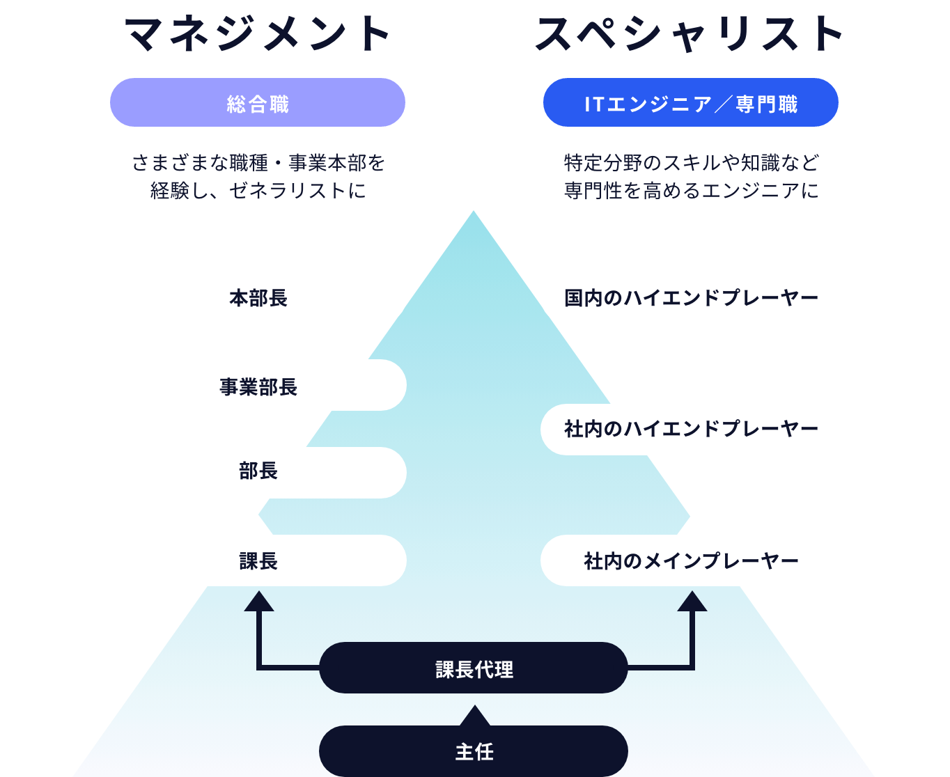 選べるキャリアパス